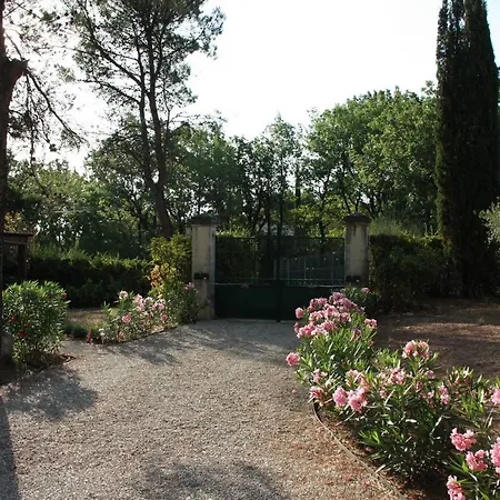 Il Sole